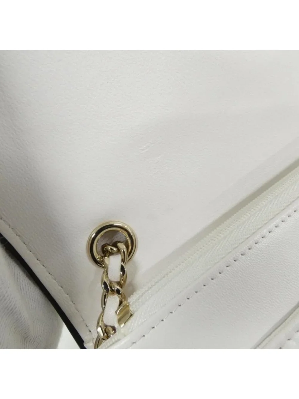 Chanel Chain Wallet Shoulder Bag